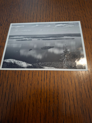 12 Koli
