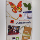 Anna Pihlajaniemi : Adoptiomatka - pikkukuva 1