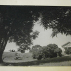 Helsinki, Suomenlinna, Piperin puisto, SMY n:o 1296, ei p. - pikkukuva 1
