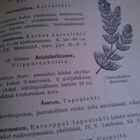 K.E. Kivirikko : Koulukasvio vuodelta 1946 - pikkukuva 4