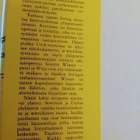 Välisarjan avioliitto - John Irving 1.p (sid.) - pikkukuva 2
