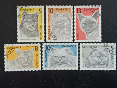Bulgaria Kissoja