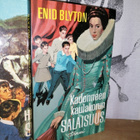 Enid Blyton - 4x Salaisuus - Tammi - pikkukuva 4