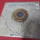 WHITESNAKE - HERE I GO AGAIN M-/M- 7'' SINGLE - pikkukuva 2