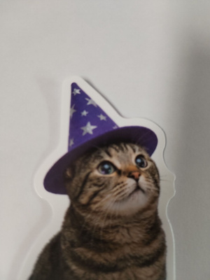 Kissa tarra.
