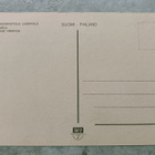 Vihti, Nummela - pikkukuva 2