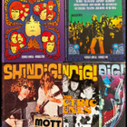SHINDIG! 5 pulskaa Annual & Quarterly ROCKPLÄJÄYSTÄ - pikkukuva 1