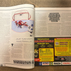 LEIJONAT NRO: 2/2014 - pikkukuva 3