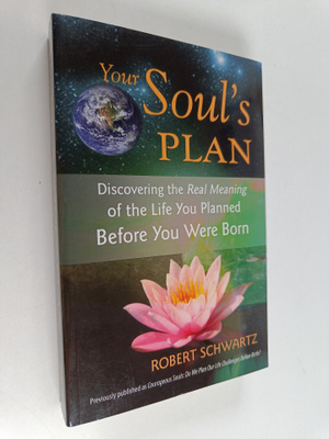 Robert Schwartz : Your Soul's Plan : Discovering the Real...