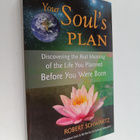 Robert Schwartz : Your Soul's Plan : Discovering the Real... - pikkukuva 1