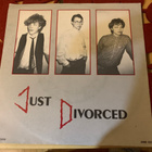 JUST DIVORCED: Japanese Garden * Best of… * FIN 1983 - pikkukuva 1