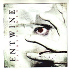 cd, Entwine: Painstained [goth rock] - pikkukuva 1