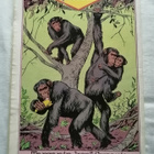 Tarzan-sarjakuvapaketti (4 kpl) - pikkukuva 2