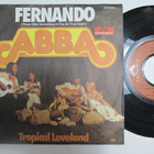 Abba Fernando Saksalainen 7" sinkku Erilainen takakansi - pikkukuva 1
