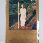 A.C. Bhaktivedanta Swami Prabhupada : Sri Caitanya-Carita... - pikkukuva 2