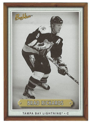 06-07 Bee Hive Wood #10 Brad Richards