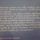HEINÄHATTU JA VILTTITOSSU loman tarpeessa S.Nopola-T.Nopola - pikkukuva 2