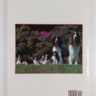 Claudia A. Long ym. : The Pictorial Encyclopedia of Dogs - pikkukuva 2