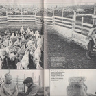 Koululainen n:o 10 1981 Paperinukke Pajazzo. Korvaamaton por - pikkukuva 3