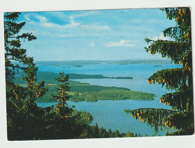 Dino Sassi : Koli (R)