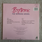 Boytronic - The Working Model - pikkukuva 2