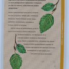 Druidien puuhoroskooppi - pikkukuva 2