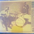 Hound Dog Taylor: Natural Boogie cd - pikkukuva 2