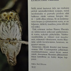Hautala _ Kellomäki : Erämetsän elämää - W+G 2.p 1986 - pikkukuva 3