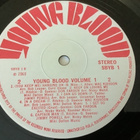 VARIOUS - Young Blood Volume 1 - pikkukuva 2