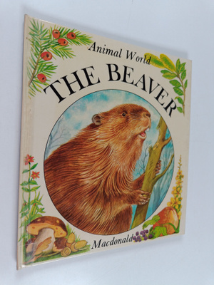Animal World : The Beaver