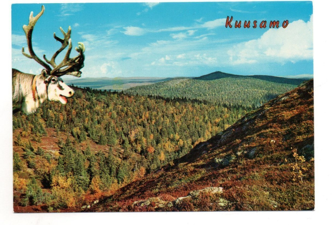 Kuusamo: Näkymä Rukatunturin laelta
