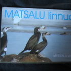 Matsalu Linnud / Matsalu Birds / Korttisarja / Kuvasarja - pikkukuva 1