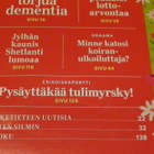 VALITUT PALAT Syyskuu 2019 - pikkukuva 3