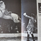 Klaus Zeeb: Les chevaux de Frédy Knie - pikkukuva 3
