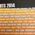 HITS 2014 - pikkukuva 3