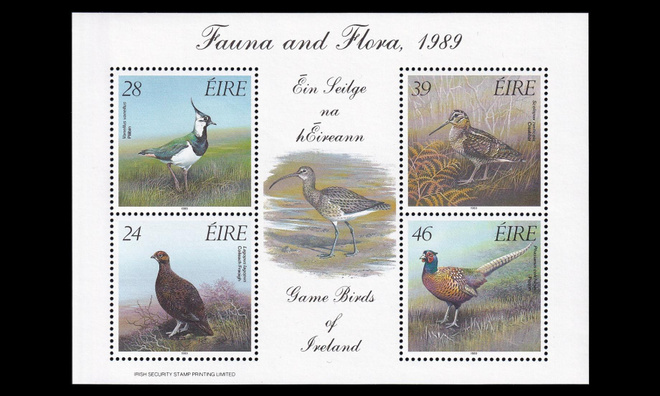 Irlanti 690-3BL7 ** Riistalintuja (1989)