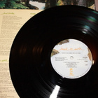 Cat Stevens - Back to Earth LP - pikkukuva 3