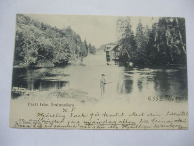 Pohja Åminnefors - 1903