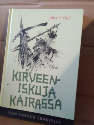 Juhani Valli: Kirveeniskuja kairassa