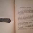 Sauli Jalmari: Ruohomaiden ruhtinaspari, v. 1924 - pikkukuva 4