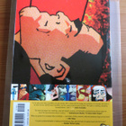Frank Miller: BATMAN - Dark knight strikes again - 2004 DC - pikkukuva 2