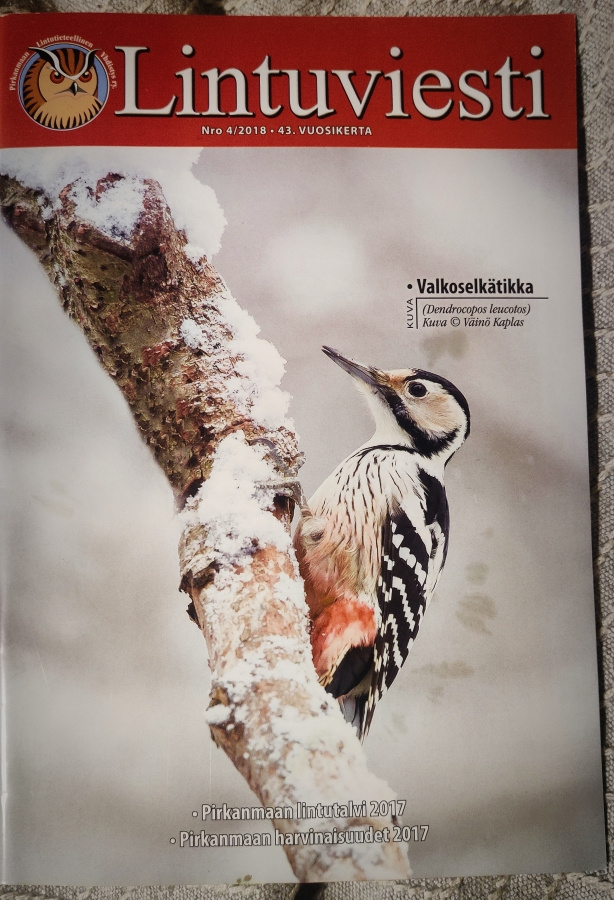 LINTUVIESTI 4/20181 - Pily yhdistyslehti