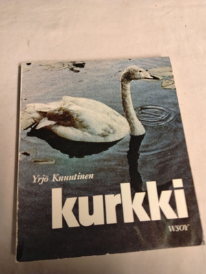 yrjö knuutinen kurkki
