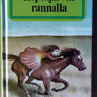 Laura Ingalls Wilder: Pieni talo preerialla -sarjaa - pikkukuva 3