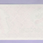 Tatarstan 100 rubles v.1991 UNC P- 5b - pikkukuva 2