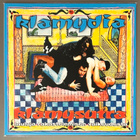 KLAMYDIA : Klamysutra - LP, uusi - pikkukuva 2