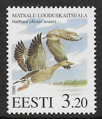 Viro - Matsalun luonnons. 1995 (LAPE 246) **
