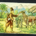 Wanha - Satunelkku - Robinson Crusoe 2 - 1900-luvun alku - pikkukuva 1