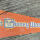 Disney viiri 1970-luku - pikkukuva 3
