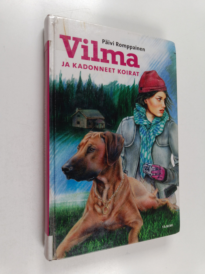 Päivi Romppainen : Vilma ja kadonneet koirat